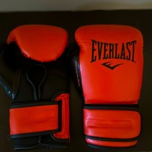 Everlast 16 ounce boxing gloves